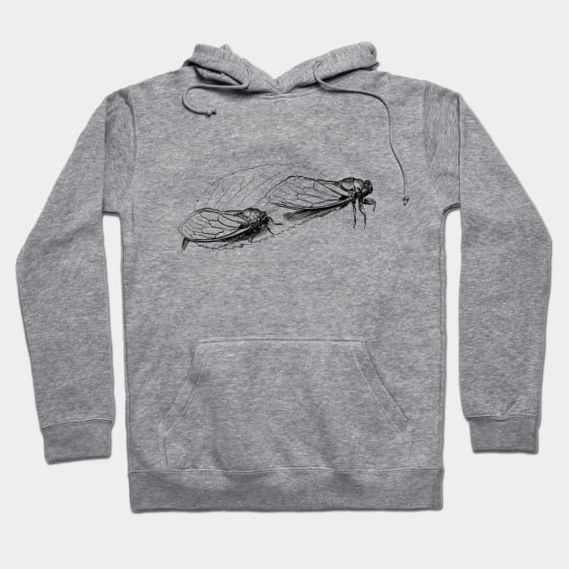 Cicadas Ink Drawing Hoodie by Fireside Press